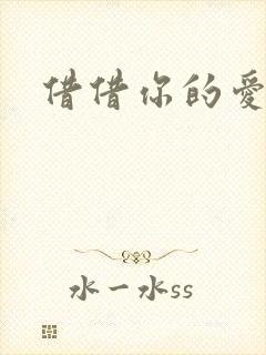 借借你的爱封面