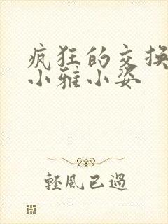 疯狂的交换小静小雅小姿