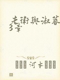 老卫与淑蓉第13章