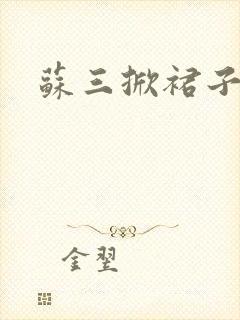 苏三掀裙子封面