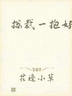 总裁一抱好欢喜