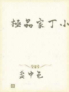 极品家丁小说封面
