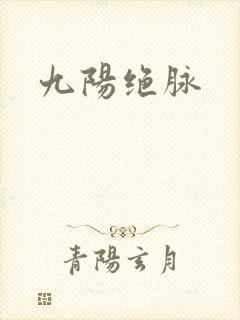 九阳绝脉封面