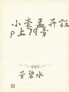 小豪孟卉钰慧三p上79章