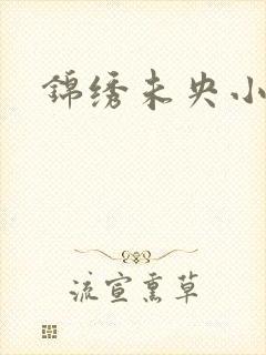 锦绣未央小说封面