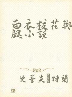 白衣校花与大长腿小说