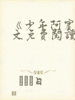 《少年阿宾》全文免费阅读