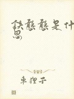 铁憨憨是什么意思