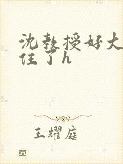 沈教授好大含不住了h