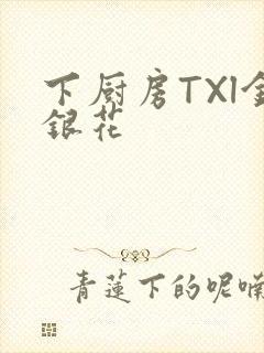 下厨房TXl金银花