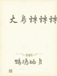 大鸟转转转酒吧封面