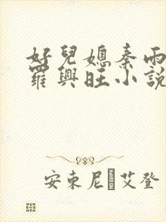 好儿媳秦雨罗明罗兴旺小说封面