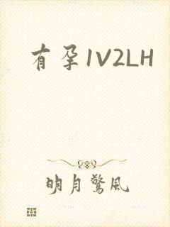 有孕1V2LH