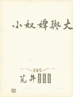 小奴婢与大少爷封面