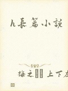 h长篇小说