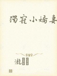 独宠小娇妻