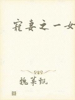 宠妻之一女二夫