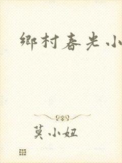 乡村春光小说封面