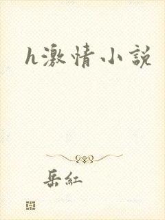 h激情小说