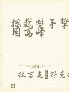 总裁双手攀上两团高峰封面