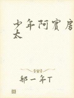 少年阿宾房东太太