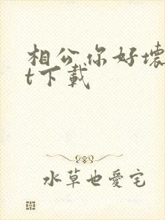 相公你好坏txt下载