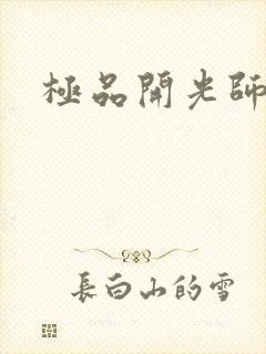 极品开光师封面