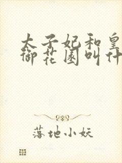 太子妃和皇帝在御花园叫什么小说封面