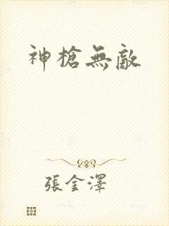 神枪无敌封面