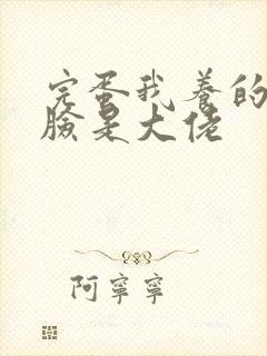 完蛋我养的小白脸是大佬