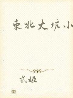 东北大坑小说