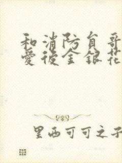 和消防员哥哥恋爱后金银花趣笔阁封面