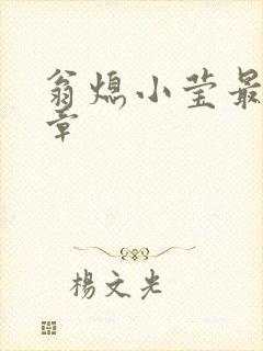 翁熄小莹最新节章封面