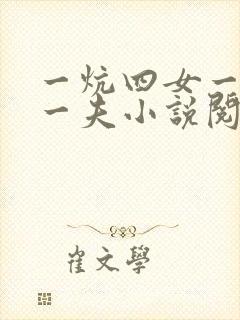 一炕四女一共侍一夫小说阅读