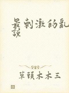 最刺激的乱惀小说封面