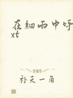 在细雨中呼喊txt