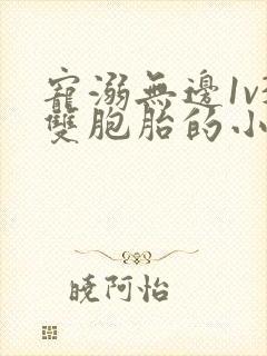 宠溺无边1v3双胞胎的小说封面