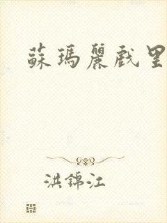 苏玛丽戏里戏外封面