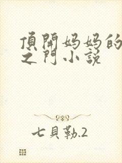 顶开妈妈的生命之门小说封面