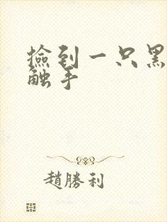 捡到一只黑心小触手