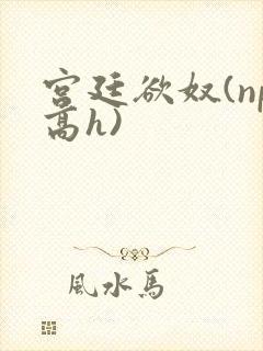 宫廷欲奴(np高h)