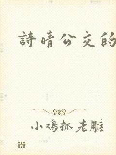 诗晴公交的小说封面