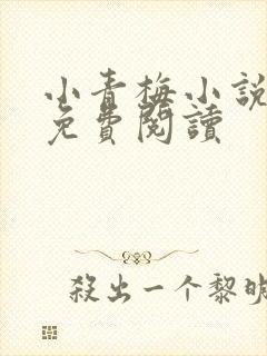 小青梅小说全文免费阅读封面