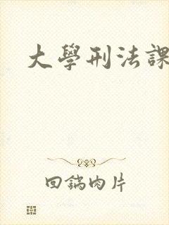 大学刑法课