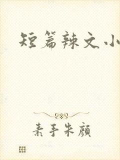 短篇辣文小说