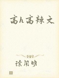 高h高辣文