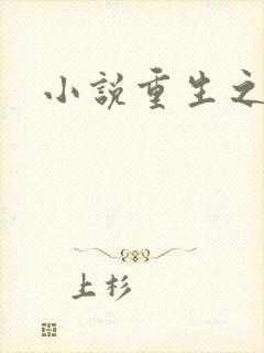 小说重生之官道