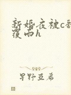 新婚夜被c翻云覆雨h