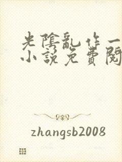 光阴乱作一团的小说免费阅读