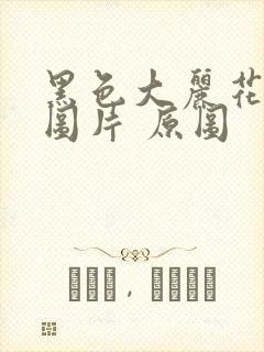 黑色大丽花真实图片 原图封面